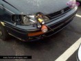 /album/nepochopitelne-hloupe-napady/fixed-front-light%2c-feste-vor-licht%2c-lumi%c3%a8re-avant-fixe%2c-opravene-predni-svetlo-jpg/
